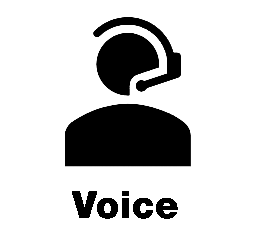voice.png